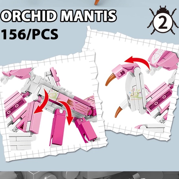 Orchid Mantis Insect Series Collection - Picture 2 of 4